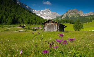 Appartement Haus Zalim, Urlaub, Brand, Brandnertal, Familienzimmer, Ferienwohnung, Vorarlberg, Wandern, Sommer