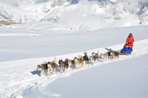 Appartement Haus Zalim, Urlaub, Brand, Brandnertal, Familienzimmer, Ferienwohnung, Vorarlberg, Husky Toni, Winter