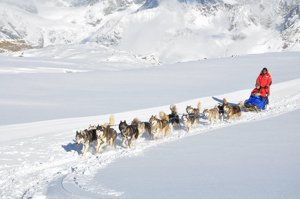 zalim-appartementhaus-brand-ferienwohnungen-husky-toni Appartement Haus Zalim, Urlaub, Brand, Brandnertal, Familienzimmer, Ferienwohnung, Vorarlberg, Husky Toni, Winter