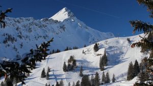 Appartement Haus Zalim, Sommer, Urlaub, Brand, Brandnertal, Familienzimmer, Ferienwohnung, Vorarlberg, Bergbahnen Brandnertal